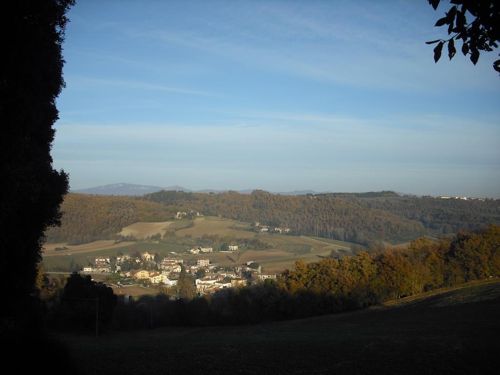 Agriturismo La Scarpaia Anghiari Bagian luar foto