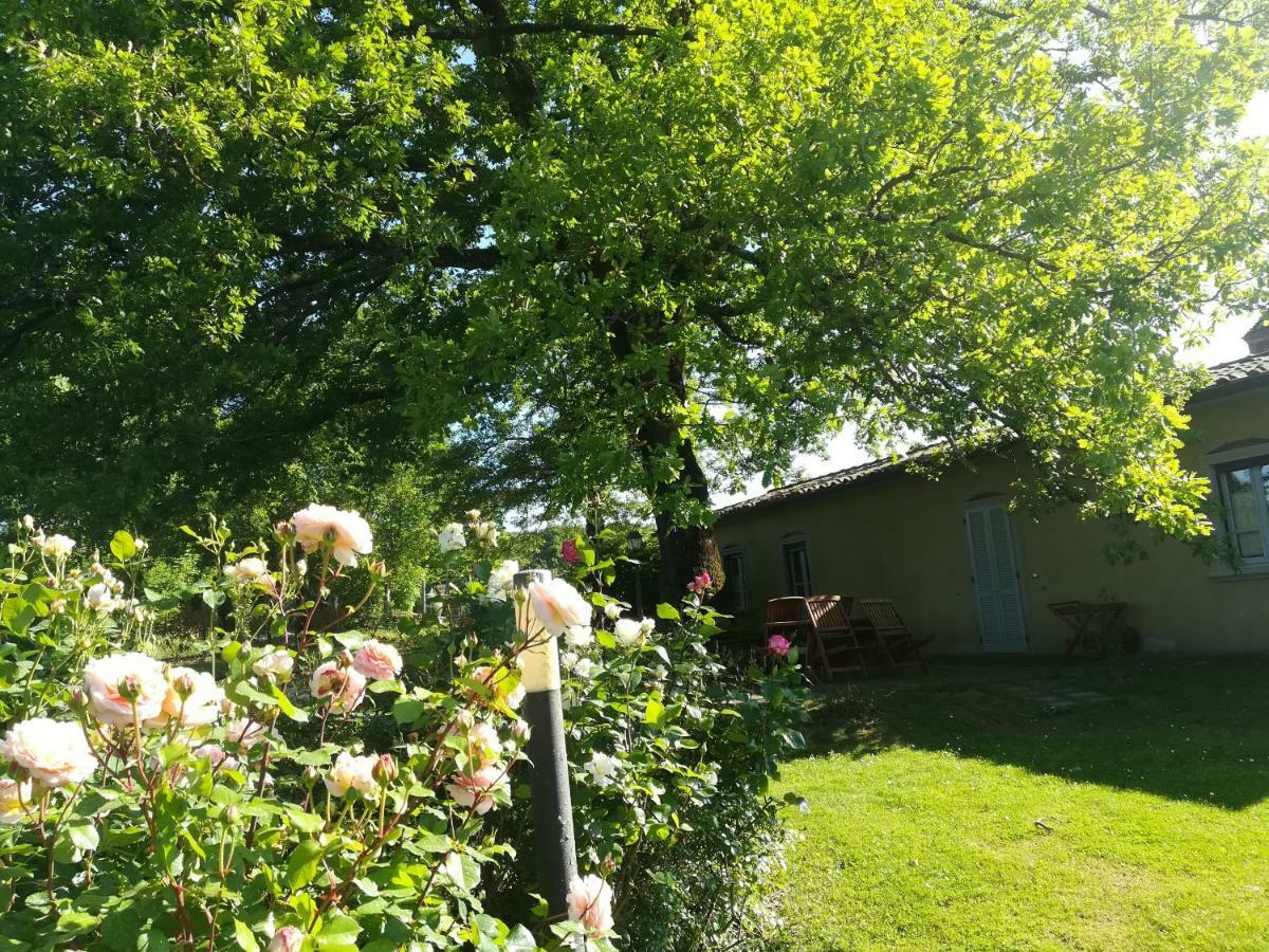 Agriturismo La Scarpaia Anghiari Bagian luar foto
